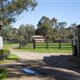 Alwyn Park Stud