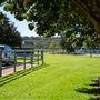 Gold Front Breeding & Racing