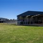 Gold Front Breeding & Racing