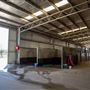 Gold Front Breeding & Racing