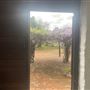1418 Katrine Rd