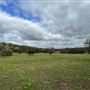 230 Woodendale Rd