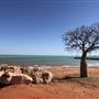Broome - Town