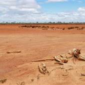 Arrow Lake - Kanowna - Goldfields
