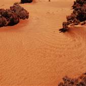 North Kalgoorlie Desert