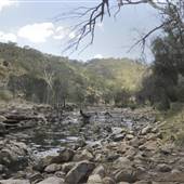 John Forrest National Park