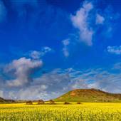 Chapman Valley