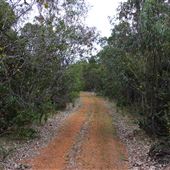 Darkan to Collie Rail Trail