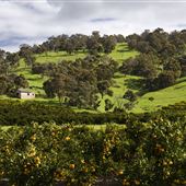 The Chittering Valley