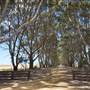 Mount  Richards Rd -Kalgan