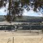 Mount  Richards Rd -Kalgan