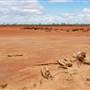 Arrow Lake - Kanowna - Goldfields