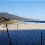 Betty's Beach