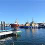 Fremantle Fishing Boat Harbour