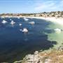 Rottnest Island