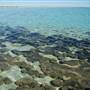 Hamelin Pool Marine Nature Reserve