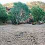 Middle Springs East Kimberley