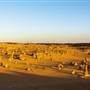 Pinnacles - Nambung National Park