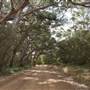 Thomas Rd - Lower Denmark