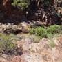 Tier Gorge