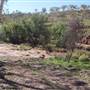 Tier Gorge