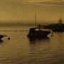 Swan River