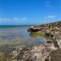 Abrolhos Islands - East Wallabi