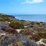 Abrolhos Islands - East Wallabi