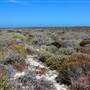 Abrolhos Islands - East Wallabi