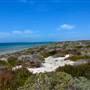 Abrolhos Islands - East Wallabi
