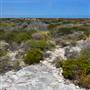 Abrolhos Islands - East Wallabi