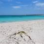 Abrolhos Islands - East Wallabi