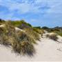 Abrolhos Islands - East Wallabi