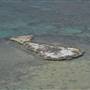 Abrolhos Islands - West Wallabi Island