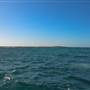 Garden Island - Goodwin Point - from water