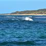 Garden Island - Goodwin Point - from water