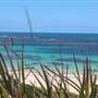 Garden Island - Gilbert Point - from land