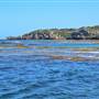 Garden Island - Point Atwick - North and South Bay from Water