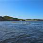 Garden Island - Calista Point - from water