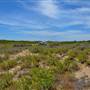 Garden Island - Old Quarry