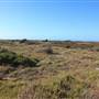 Woodman Point