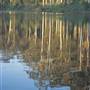 Pemberton - Big Brook Dam
