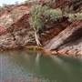 Karijini National Park - Hamersley Gorge