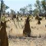 Derby - road from Broome to Derby