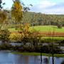 Nannup