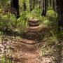 Wellington National Park