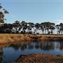 Witchcliffe - Redgate Forest Retreat