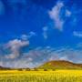Chapman Valley