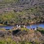 Margaret River - Prevelly