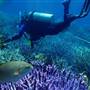 Abrolhos Islands  - Aerials